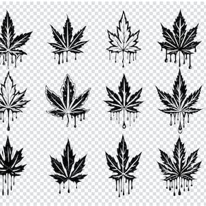 May include: Set of twelve black and white cannabis leaf illustrations with dripping resin. Each leaf is stylized with a unique design.