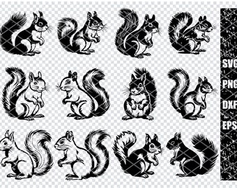 SQUIRREL RODENT SVG, Tree Squirrel Svg Files For Cricut, Squirrel Clipart, Laser Cut Files