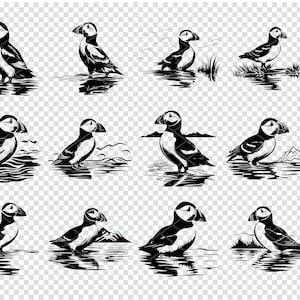 Macareux moine oiseau de l'Atlantique Svg, fichiers Svg d'oiseaux de mer macareux pour Cricut, clipart macareux côtier, oiseau côtier des fichiers découpés au Laser
