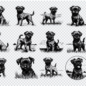 BRUSSEL GRIFFON SVG, Bruxelles Griffon Dog Clipart, Bruxelles Griffon Svg file per Cricut, Bruxelles Griffon Mini Breed svg