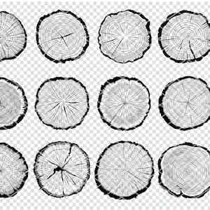 以下が含まれることがあります： 木の年輪の白黒イラスト12点セット。イラストは円形で、木の成長輪を示しています。