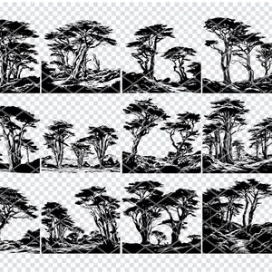 CYPRÈS DE MONTEREY Svg, fichiers Svg de cyprès de conifères pour Cricut, Clipart arbre à feuilles persistantes de Monterey, fichiers découpés au Laser