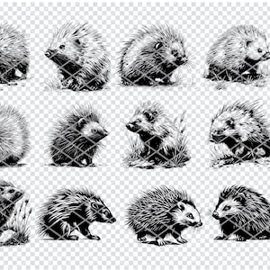 PORCUPINE SVG, PORCUPINE Svg Files For Cricut, Porcupine Clipart, Laser Cut Files