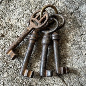 May include: A set of antique keys in various shapes and sizes. The keys are made of aged metal, with a weathered, rustic appearance. They are attached to a metal ring. The background is a textured, grey surface. The keys show signs of age and use, adding to their vintage charm.