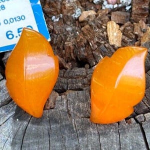 May include: A pair of orange leaf-shaped earrings. The earrings are made of a shiny, translucent material.