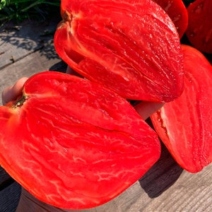 Puede incluir: Dos mitades de un tomate rojo, mostrando el interior de la fruta. El tomate tiene un color rojo brillante y una textura lisa y brillante.