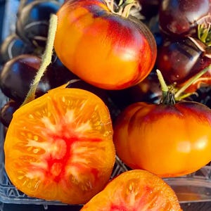 May include: Close-up of a group of heirloom tomatoes. The tomatoes are a mix of deep purple and orange with a red interior. Some tomatoes are cut in half, revealing the red flesh.