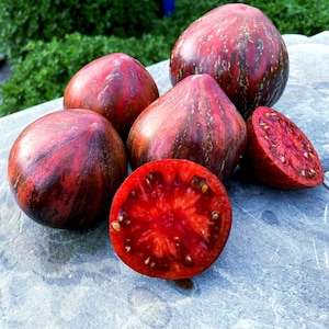 20 sementes de tomate Rebel Starfighter Prime - Variedade Antho exclusiva, rara. Vegetal orgânico moderno para semear. Variedade exótica roxa índigo para cultivar.