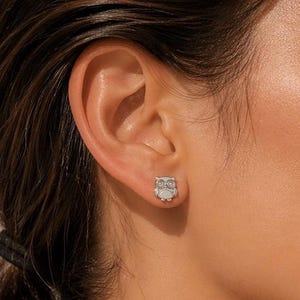 May include: A silver owl stud earring is shown on an ear. The earring features a small, detailed owl design with large eyes and a textured body. The earring is a simple, yet elegant piece of jewellery.