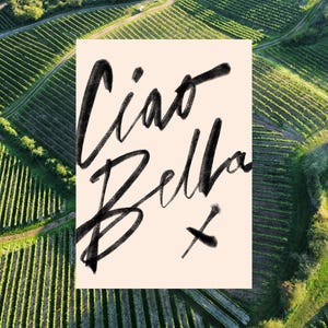 K&ouml;nnte beinhalten: Luftaufnahme eines Weinbergs mit Reihen gr&uuml;ner Reben. Eine rechteckige Karte mit den Worten "Ciao Bella" in schwarzer Schrift ist &uuml;ber dem Weinberg abgebildet.