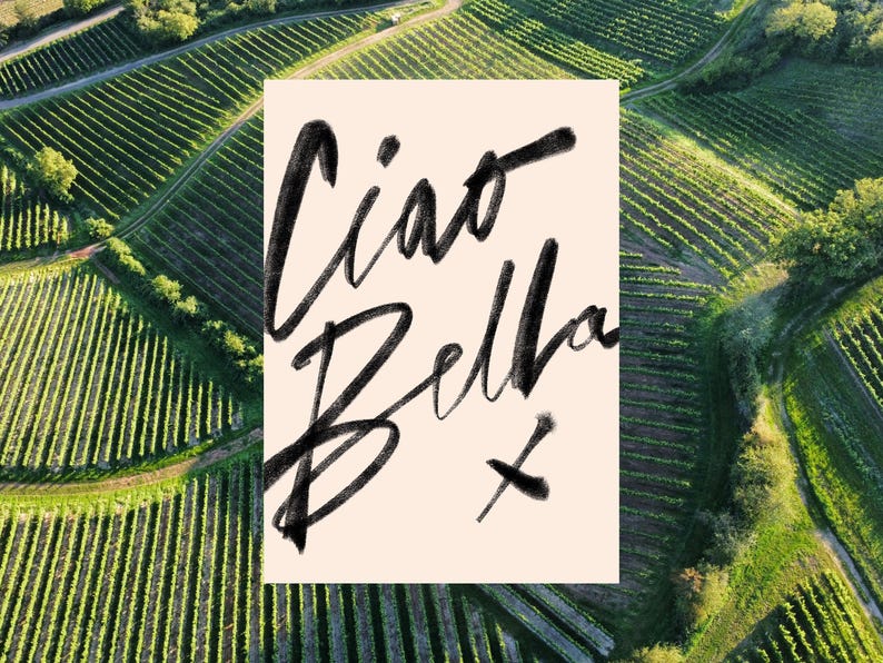 K&ouml;nnte beinhalten: Luftaufnahme eines Weinbergs mit Reihen gr&uuml;ner Reben. Eine rechteckige Karte mit den Worten "Ciao Bella" in schwarzer Schrift ist &uuml;ber dem Weinberg abgebildet.