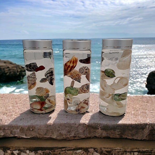 Unique Gift Idea for Coastal Home Decorative Jars Set Seashell with Floating Shells for Sea in a Bottle Centerpiece for Beach Cottage House