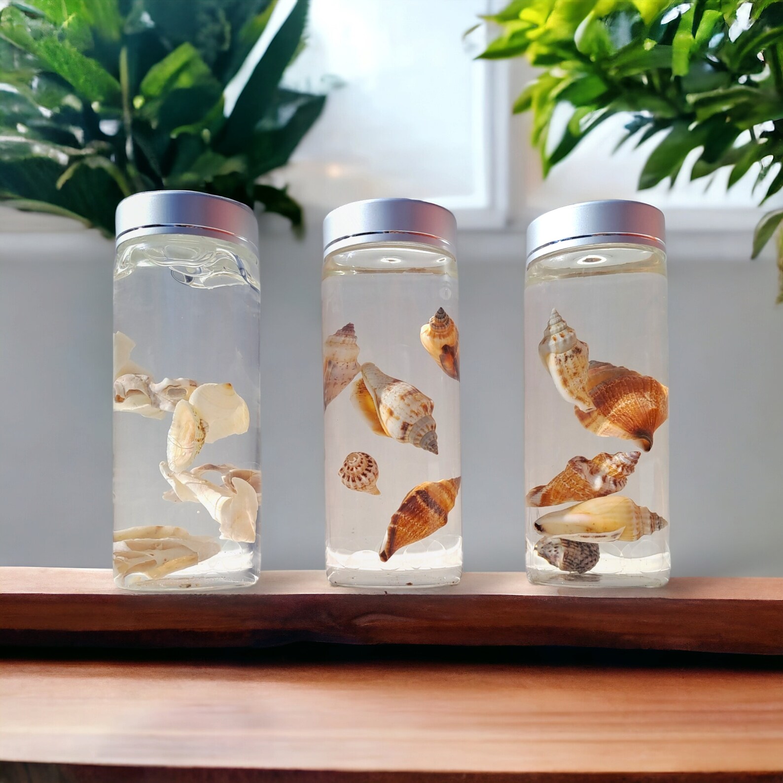 Decorative Seashell Bottle With Floating Shells for Sea in a Bottle for ...