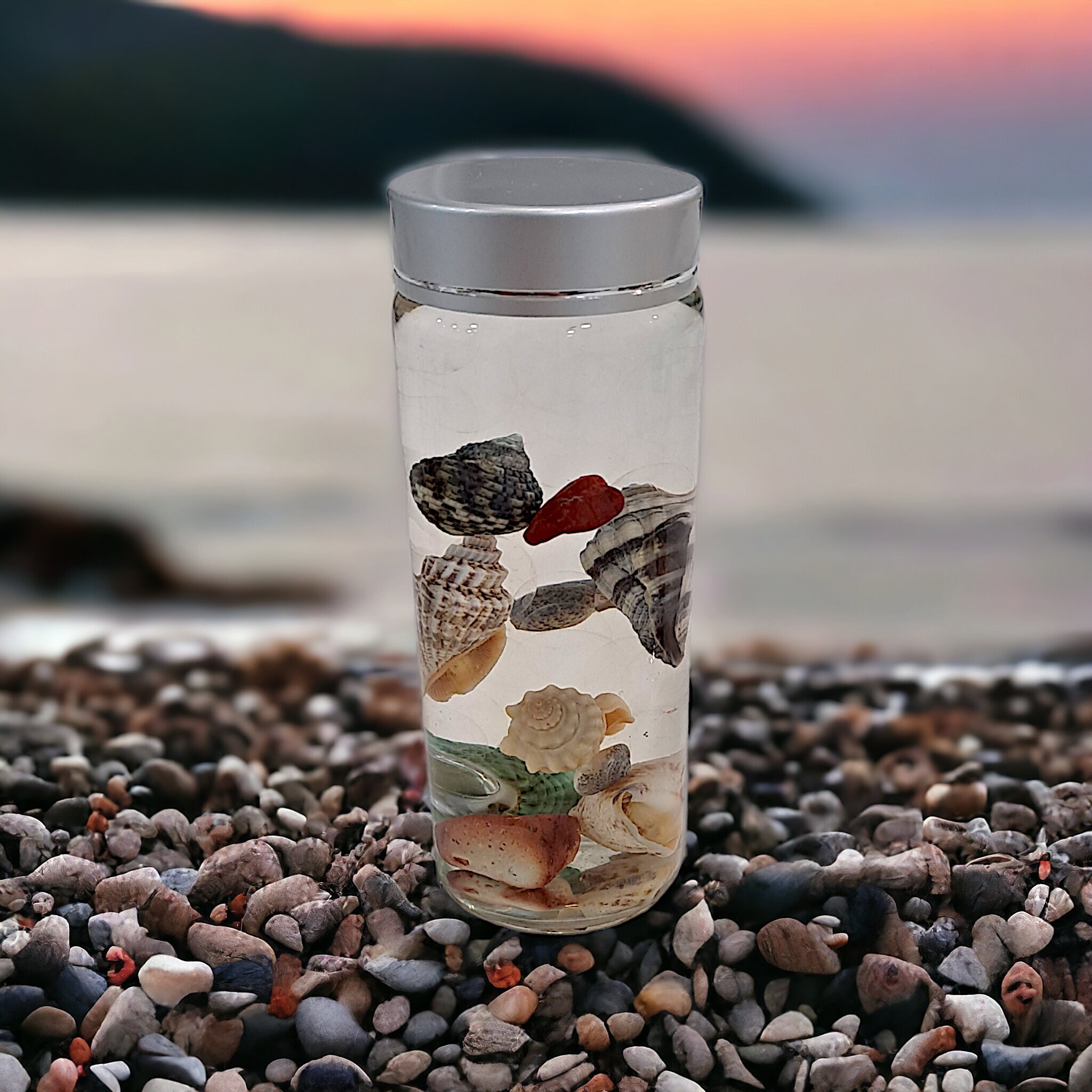 Maritime Living Decorative Seashell Bottle With Floating Shells for for ...