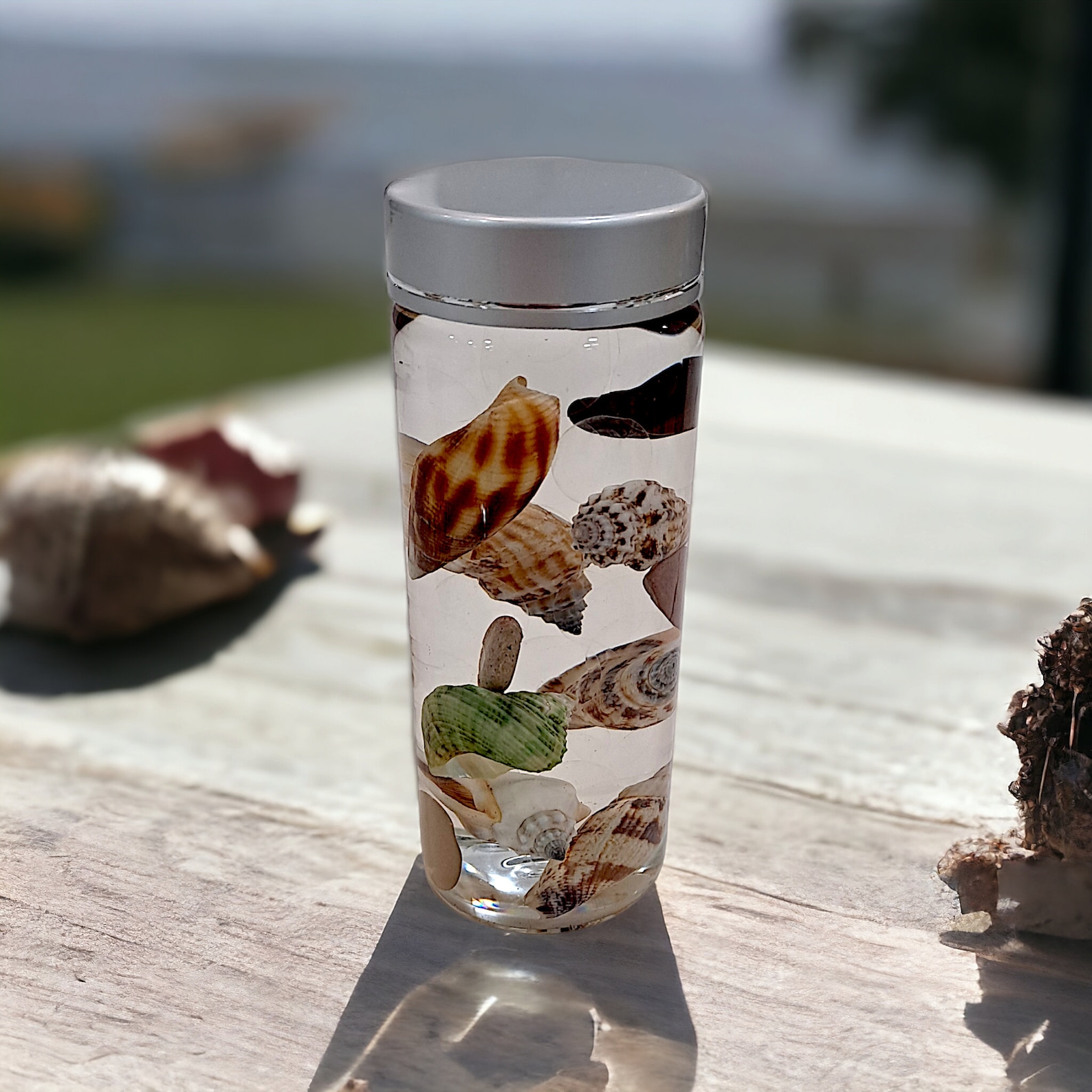 Maritime Living Decorative Seashell Bottle With Floating Shells for for ...