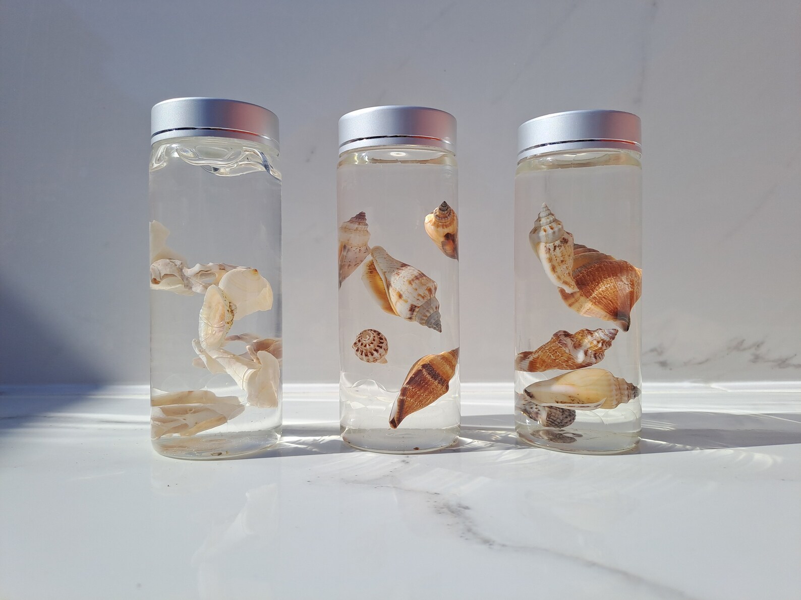 Decorative Seashell Bottle With Floating Shells for Sea in a Bottle for ...