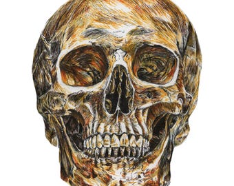 Skull Dark Anatomy Art Print: Gothic Horror Decor (Digital Download)