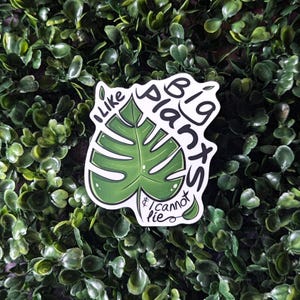 Eu gosto de plantas grandes e não posso mentir adesivo de vinil Monstera Plant