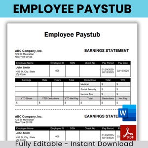 Employee Pay Stub, Editable Pay Stub Template, Paycheck Stub, Employee Payroll, Earnings Statement, Professional Check Stub, Paystub