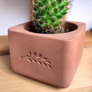 Puede incluir: Un pequeño cactus verde con espinas blancas en una maceta de terracota con un diseño de hoja. La maceta es cuadrada y de color marrón claro.