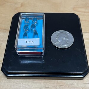 May include: A clear plastic box with a blue background containing a set of seven metal tulip-shaped cookie cutters. The box has a white label with the word "Tulip" printed on it. The box is sitting on a black surface next to a US quarter.