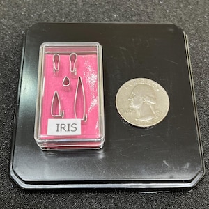 May include: A clear plastic container with a pink foam insert holds a set of metal flower cutters. The cutters are shaped like petals and leaves. The container has the word "IRIS" printed on it. A US quarter is shown for scale.