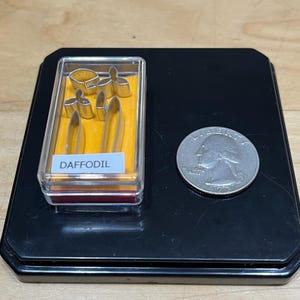 Puede incluir: Un contenedor de plástico transparente con una etiqueta amarilla que dice "DAFFODIL" y contiene un juego de cortadores de galletas de metal con forma de narcisos. El contenedor está al lado de una moneda de euro para comparar el tamaño.