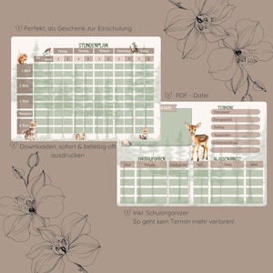 Changing timetable, gift for school enrollment, timetable to print, timetable, download, forest animals timetable, download timetable
