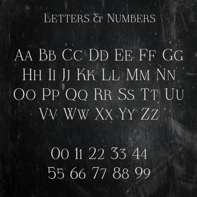 Verre De Blanc Typeface, Elegant Font, Serif Font, Branding Font, Display Font, Font Family of Six Fonts by evoketypestudio image 7