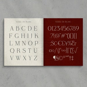 Verre De Blanc Typeface, Elegant Font, Serif Font, Branding Font, Display Font, Font Family of Six Fonts by evoketypestudio image 3