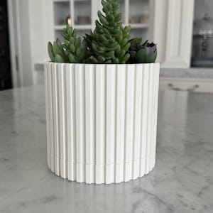 May include: A white ceramic planter with a ribbed design, filled with a variety of green succulents.