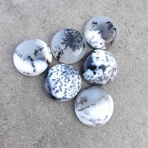 May include: Six round, white agate cabochons with black dendritic patterns. The cabochons are arranged in a circle on a light grey surface.
