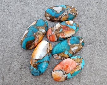 Ovale Spiny Oyster Turquoise cabochon: oranje-blauw-witte gekalibreerde edelsteen