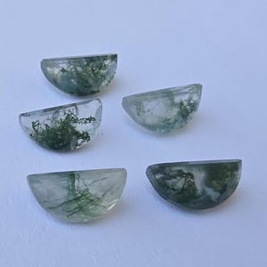 以下が含まれることがあります： 半月型のモスアゲートの宝石が5つ。 半透明の石には、緑色のシダのようなインクルージョンが見られます。 磨かれた石は白い背景に置かれ、その自然な美しさを際立たせています。