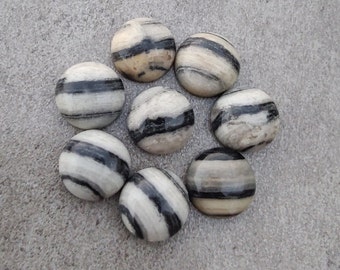 Natural Zebra Jasper Round Shape Cabochon Flat Back AAA+ Quality Calibrated Wholesale Gemstones, All Sizes Available