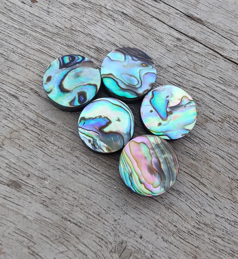 Natural Abalone Shell Round Shape Cabochon Flat Back Calibrated AAA Quality Wholesale Gemstones, All Sizes Available zdjęcie 6