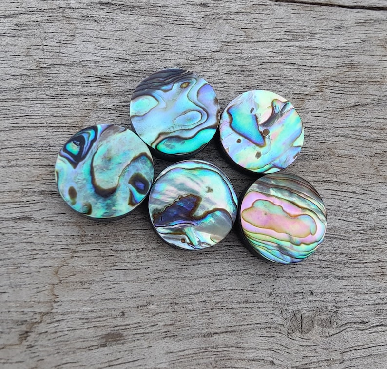 Natural Abalone Shell Round Shape Cabochon Flat Back Calibrated AAA Quality Wholesale Gemstones, All Sizes Available zdjęcie 2