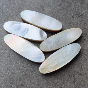 Puede incluir: Cinco piezas ovaladas de nácar de diferentes tamaños y tonos de blanco y beige.