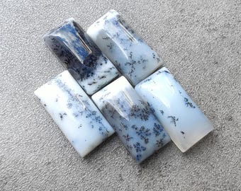 AAA+ Quality Dendritic Agate Cabochon: Rectangle Calibrated Gemstones