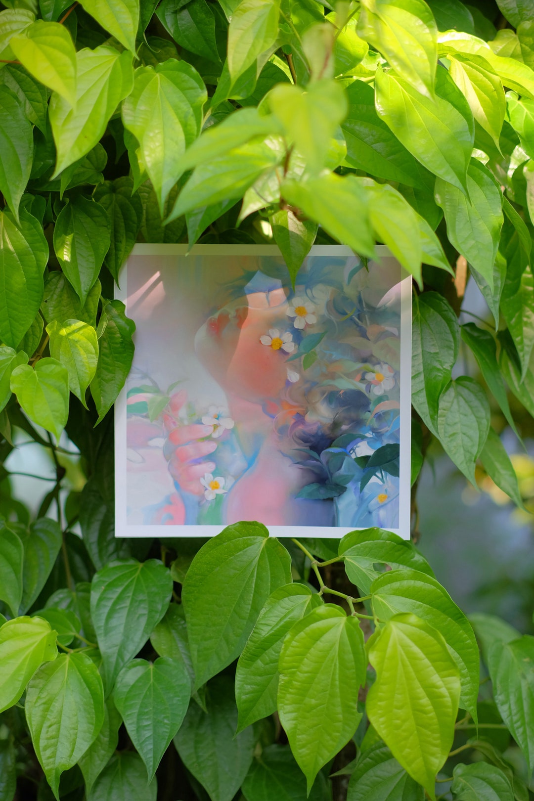 Daisy Green Leaf Area Fine Art Prints Etsy