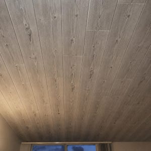 May include: A ceiling covered in light gray wood-look planks featuring a prominent grain pattern and dark knots. The planks are arranged in a staggered vertical layout, creating a continuous surface that mimics the appearance of natural timber.