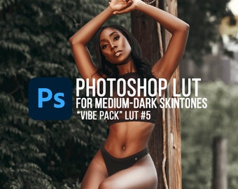 PS LUT #5, bruin-donkere huidtinten, portret-LUT voor Photoshop (uit vibe luts-pakket)
