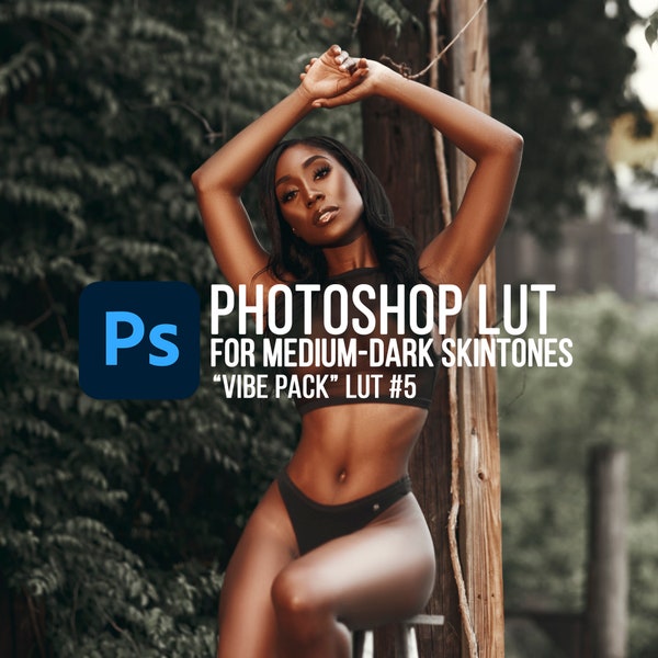 PS LUT #5, Brown-Dark Skintones, Portrait LUT for Photoshop (From vibe luts pack)