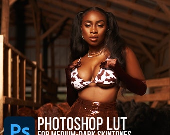 PS LUT #10, bruin-donkere huidtinten, portret-LUT voor Photoshop (uit vibe luts-pakket)