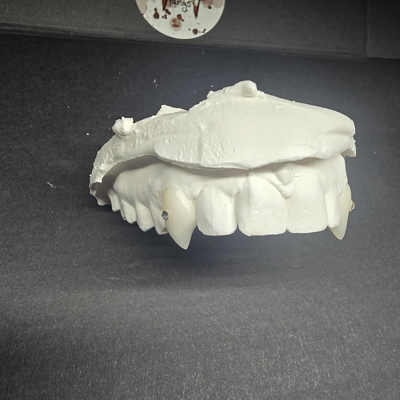 May include: White, custom-made vampire fangs with two pointed fangs. The fangs are set in a white mold of teeth. The fangs have a small, silver-colored gem on each fang. The background is a dark gray surface.