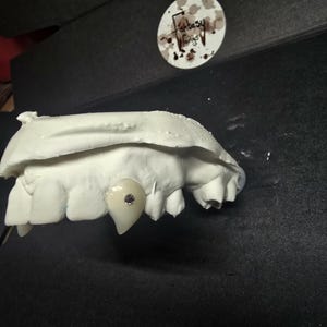 May include: A white dental mold with a custom-made fang attached. The fang has a silver accent. The mold is on a black surface. A circular sticker with the text "Fantasy Fangs" is in the background.