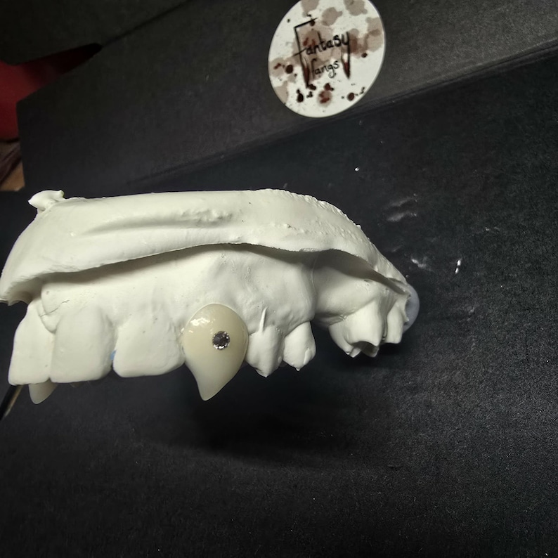 May include: A white dental mold with a custom-made fang attached. The fang has a silver accent. The mold is on a black surface. A circular sticker with the text "Fantasy Fangs" is in the background.