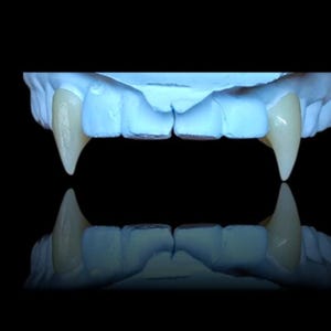 May include: A close-up of a set of vampire fangs, with two long, pointed teeth. The fangs are a pale yellow color and are set in a blue dental mold. The background is black, with a reflection of the fangs below.