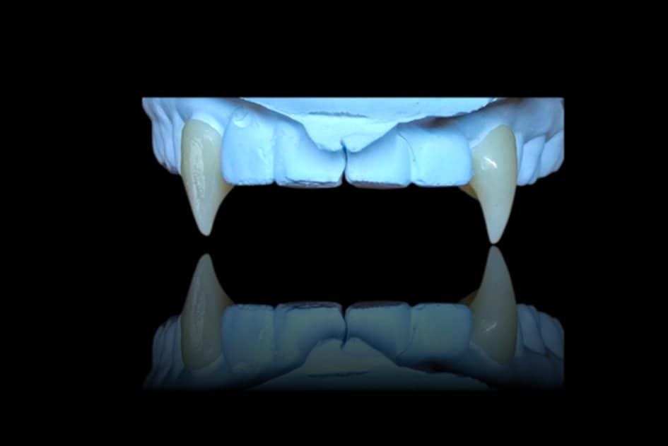 Custom Vampire Fangs