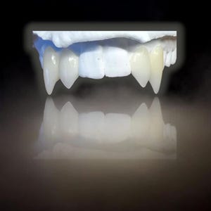 May include: A set of vampire fangs, crafted from a light-colored material, are displayed against a dark background. The fangs are sharp and pointed, with a realistic appearance. The image includes a reflection of the fangs, enhancing the visual impact.